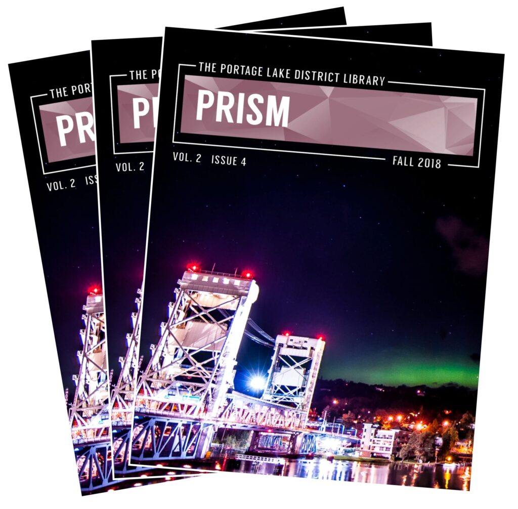 Newsletter Portage Lake District Library